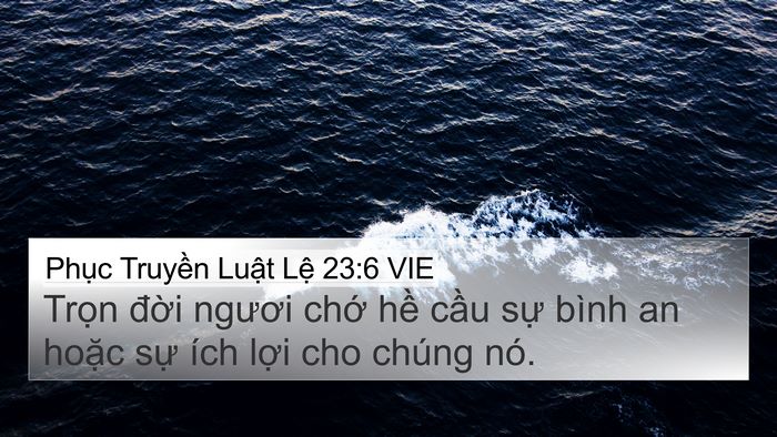 Phục Truyền Luật Lệ 23:6 VIE Bible Verse Image
