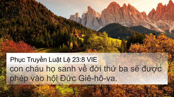 Phục Truyền Luật Lệ 23:8 VIE Bible Verse Image