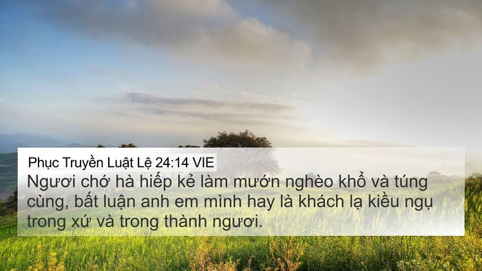 Phục Truyền Luật Lệ 24:14 VIE Bible Verse Image