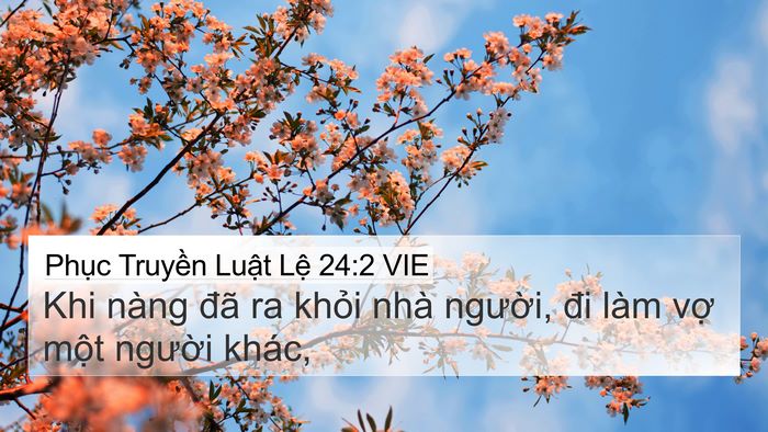 Phục Truyền Luật Lệ 24:2 VIE 4K Wallpaper - Khi nàng đã ra khỏi nhà người, đi làm - 4K Wallpaper Bible Verse