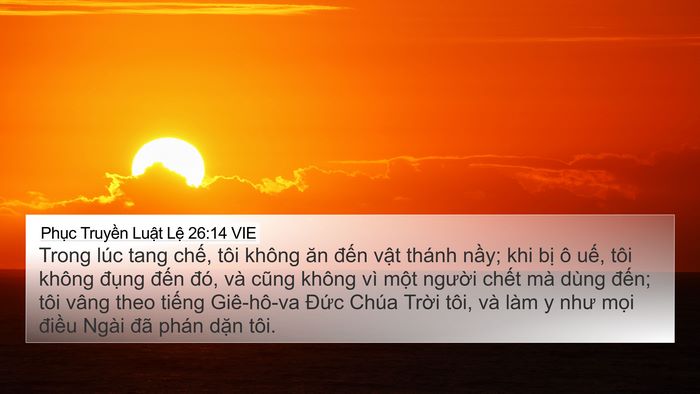 Phục Truyền Luật Lệ 26:14 VIE Bible Verse Image
