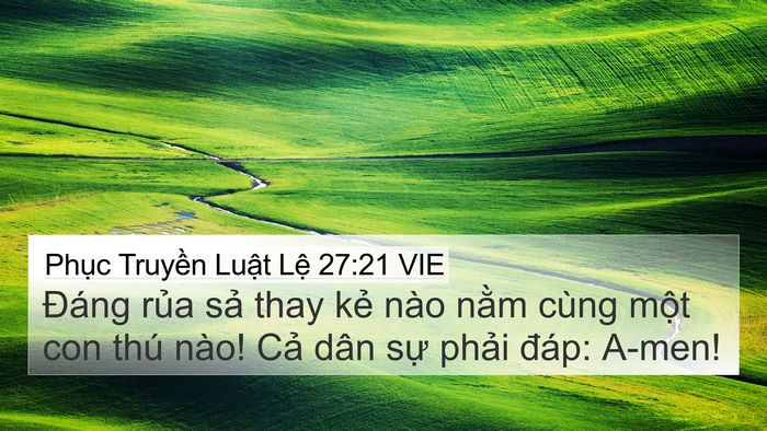 Phục Truyền Luật Lệ 27:21 VIE 4K Wallpaper - Đáng rủa sả thay kẻ nào nằm cùng - 4K Wallpaper Bible Verse