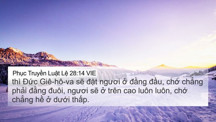 Phục Truyền Luật Lệ 28:14 VIE Bible Verse Image