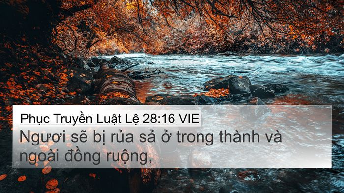 Phục Truyền Luật Lệ 28:16 VIE Bible Verse Image