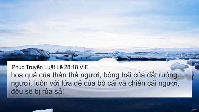 Phục Truyền Luật Lệ 28:18 VIE Bible Verse Image