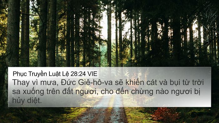 Phục Truyền Luật Lệ 28:24 VIE 4K Wallpaper - Thay vì mưa, Đức Giê-hô-va sẽ khiến - 4K Wallpaper Bible Verse