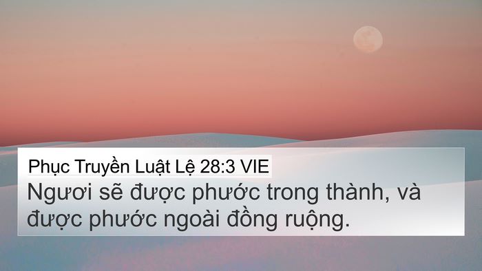 Phục Truyền Luật Lệ 28:3 VIE Bible Verse Image