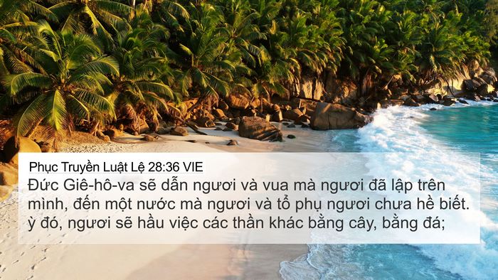 Phục Truyền Luật Lệ 28:36 VIE Bible Verse Image
