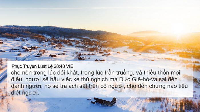 Phục Truyền Luật Lệ 28:48 VIE Bible Verse Image