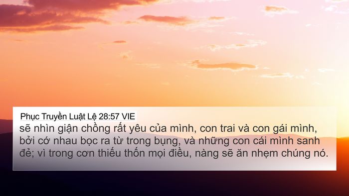 Phục Truyền Luật Lệ 28:57 VIE Bible Verse Image