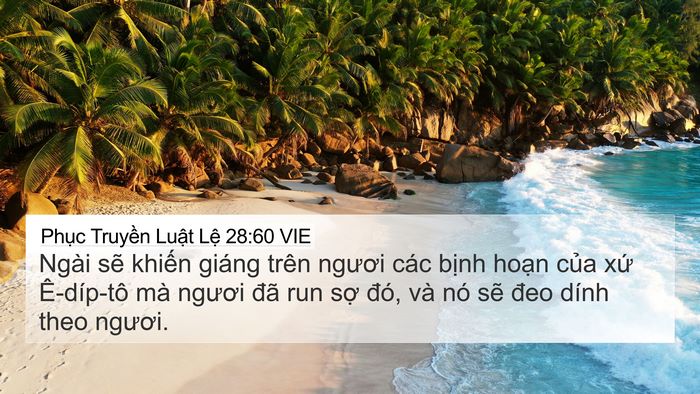 Phục Truyền Luật Lệ 28:60 VIE Bible Verse Image