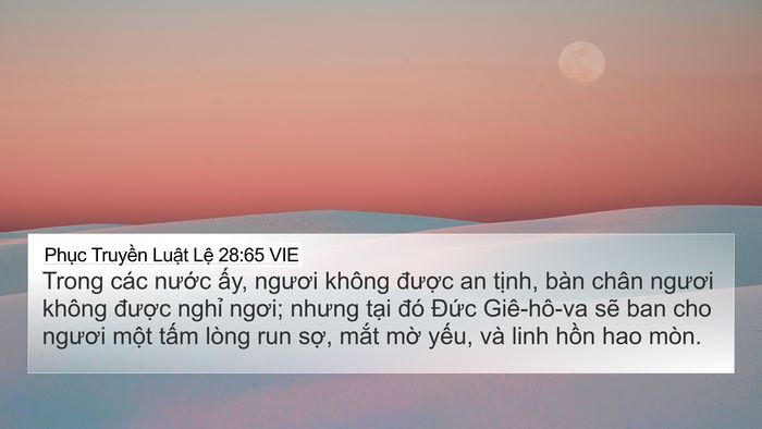 Phục Truyền Luật Lệ 28:65 VIE Bible Verse Image
