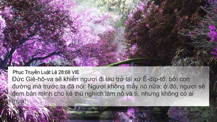 Phục Truyền Luật Lệ 28:68 VIE Bible Verse Image