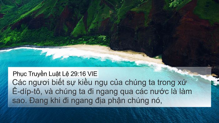 Phục Truyền Luật Lệ 29:16 VIE 4K Wallpaper - Các ngươi biết sự kiều ngụ của - 4K Wallpaper Bible Verse