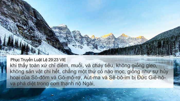 Phục Truyền Luật Lệ 29:23 VIE Bible Verse Image
