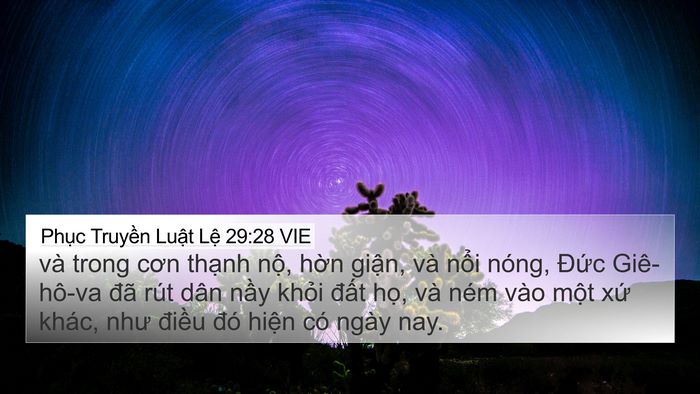 Phục Truyền Luật Lệ 29:28 VIE Bible Verse Image