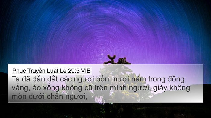 Phục Truyền Luật Lệ 29:5 VIE Bible Verse Image