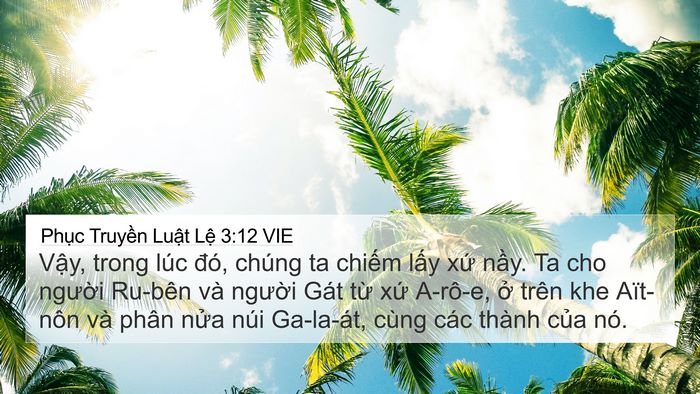 Phục Truyền Luật Lệ 3:12 VIE Bible Verse Image