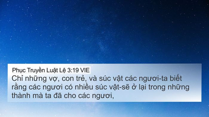Phục Truyền Luật Lệ 3:19 VIE 4K Wallpaper - Chỉ những vợ, con trẻ, và súc vật - 4K Wallpaper Bible Verse