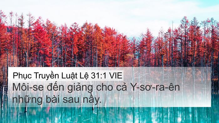Phục Truyền Luật Lệ 31:1 VIE 4K Wallpaper - Môi-se đến giảng cho cả Y-sơ-ra-ên - 4K Wallpaper Bible Verse