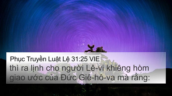 Phục Truyền Luật Lệ 31:25 VIE Bible Verse Image