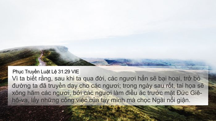 Phục Truyền Luật Lệ 31:29 VIE Bible Verse Image