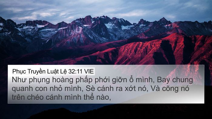 Phục Truyền Luật Lệ 32:11 VIE Bible Verse Image