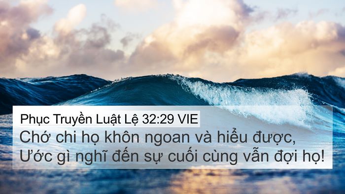 Phục Truyền Luật Lệ 32:29 VIE Bible Verse Image