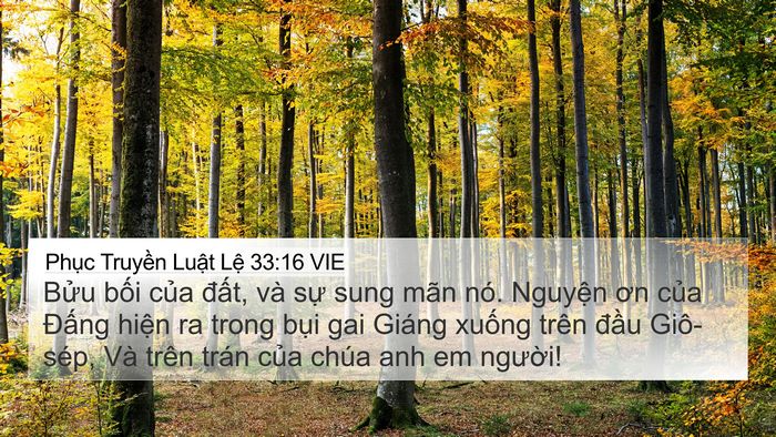 Phục Truyền Luật Lệ 33:16 VIE Bible Verse Image