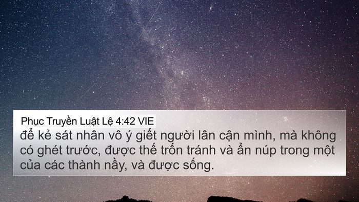 Phục Truyền Luật Lệ 4:42 VIE Bible Verse Image