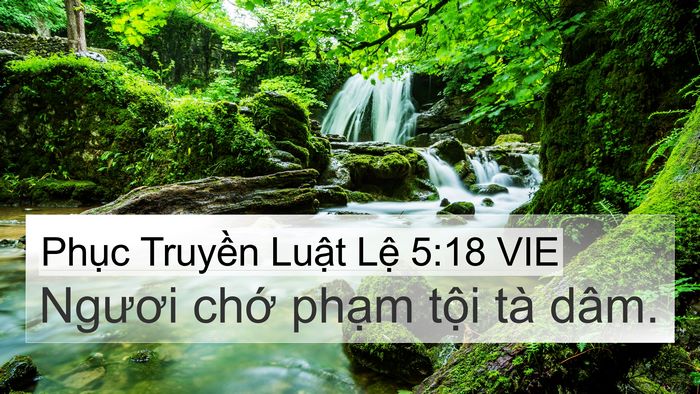 Phục Truyền Luật Lệ 5:18 VIE Bible Verse Image