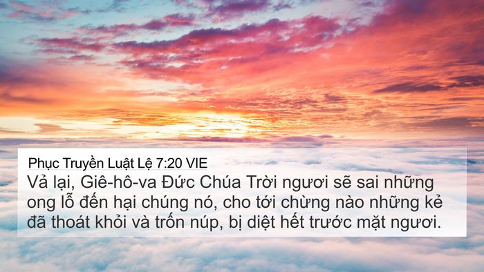 Phục Truyền Luật Lệ 7:20 VIE Bible Verse Image