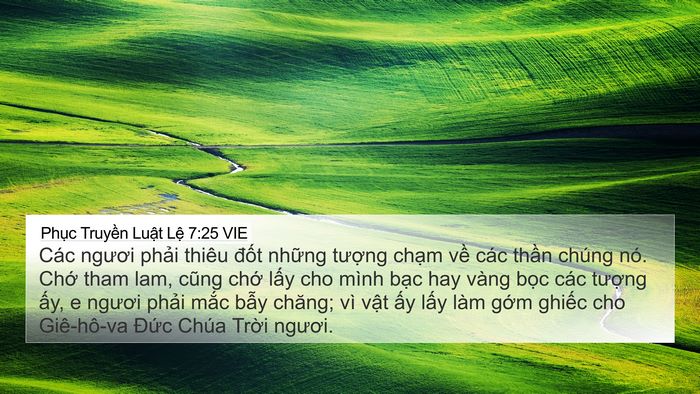Phục Truyền Luật Lệ 7:25 VIE Bible Verse Image