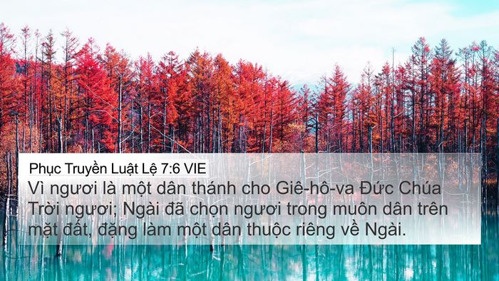 Phục Truyền Luật Lệ 7:6 VIE Bible Verse Image