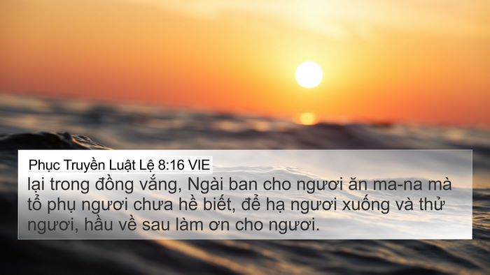 Phục Truyền Luật Lệ 8:16 VIE Bible Verse Image