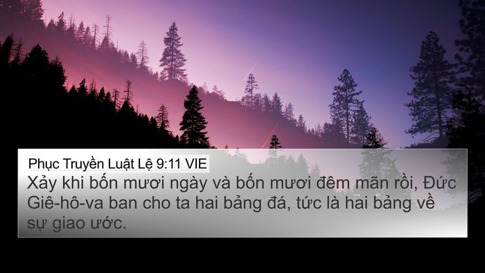 Phục Truyền Luật Lệ 9:11 VIE Bible Verse Image