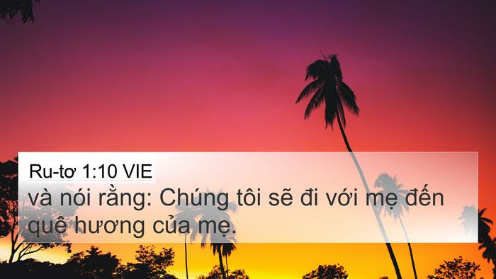 Ru-tơ 1:10 VIE Bible Verse Image