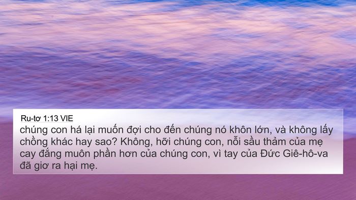 Ru-tơ 1:13 VIE Bible Verse Image
