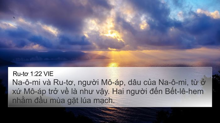 Ru-tơ 1:22 VIE Bible Verse Image