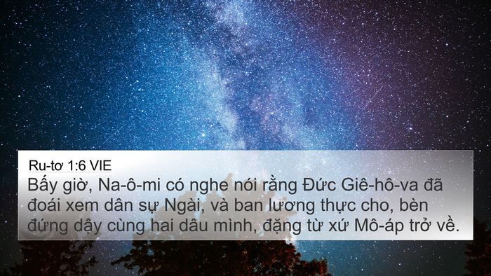 Ru-tơ 1:6 VIE Bible Verse Image