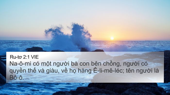 Ru-tơ 2:1 VIE Bible Verse Image