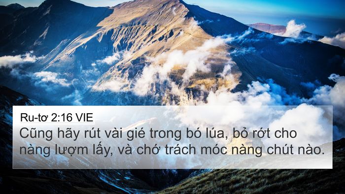Ru-tơ 2:16 VIE 4K Wallpaper - Cũng hãy rút vài gié trong bó lúa, bỏ - 4K Wallpaper Bible Verse