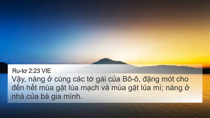Ru-tơ 2:23 VIE 4K Wallpaper - Vậy, nàng ở cùng các tớ gái của - 4K Wallpaper Bible Verse