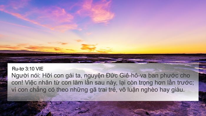 Ru-tơ 3:10 VIE Bible Verse Image