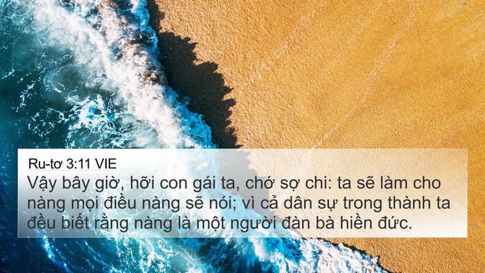 Ru-tơ 3:11 VIE Bible Verse Image
