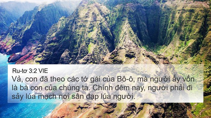 Ru-tơ 3:2 VIE 4K Wallpaper - Vả, con đã theo các tớ gái của Bô-ô, - 4K Wallpaper Bible Verse
