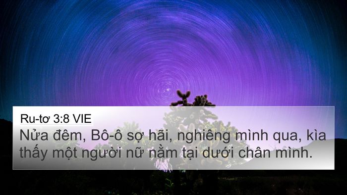 Ru-tơ 3:8 VIE 4K Wallpaper - Nửa đêm, Bô-ô sợ hãi, nghiêng mình - 4K Wallpaper Bible Verse