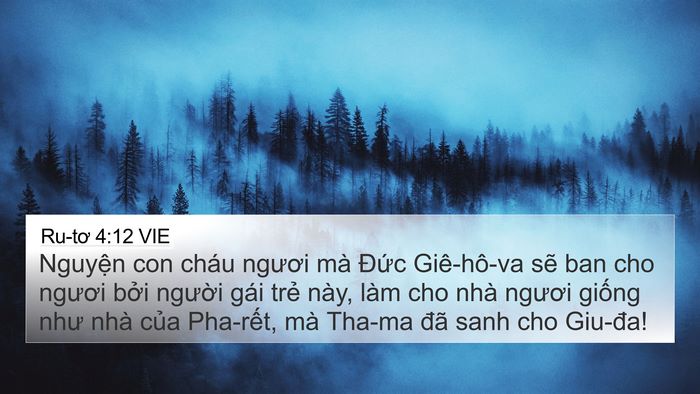 Ru-tơ 4:12 VIE Bible Verse Image