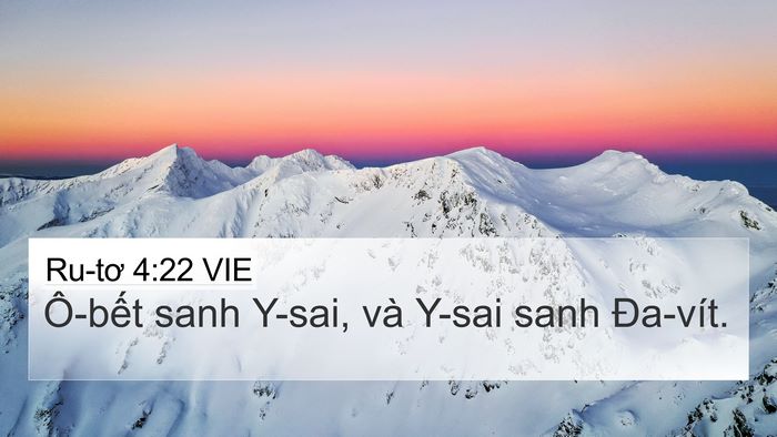 Ru-tơ 4:22 VIE Bible Verse Image