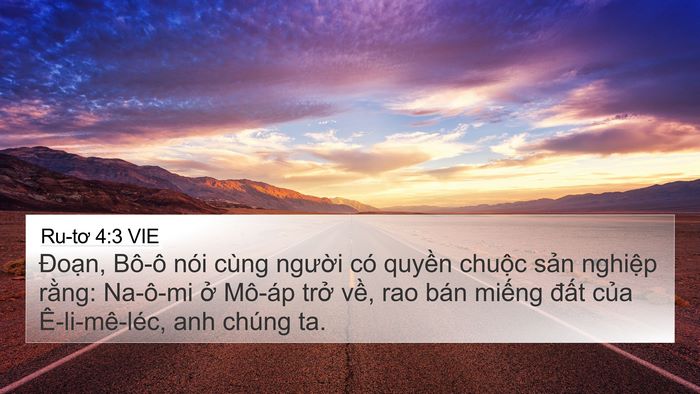 Ru-tơ 4:3 VIE 4K Wallpaper - Đoạn, Bô-ô nói cùng người có quyền - 4K Wallpaper Bible Verse